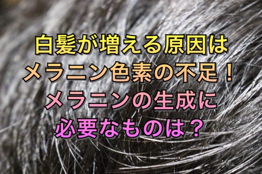 白髪が増える原因はメラニン色素の不足 メラニンの生成に必要なものは ノンジアミンカラーなど髪と頭皮の悩み解決を得意とする大阪寝屋川香里園の美容師あっくんのヘアケアブログ