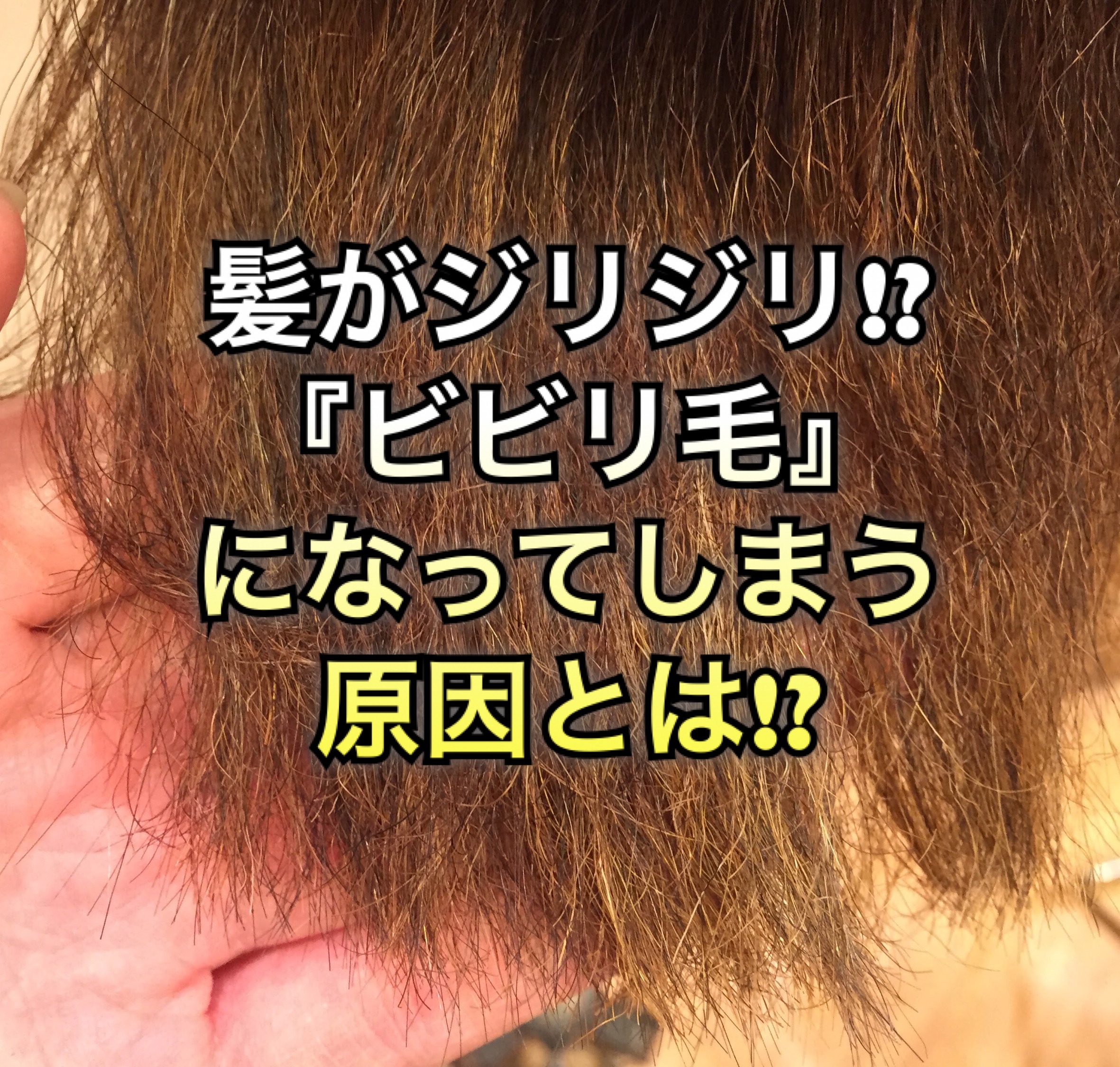 髪がジリジリ ビビリ毛 になってしまう原因とは ノンジアミンカラーなど髪と頭皮の悩み解決を得意とする大阪 寝屋川香里園の美容師あっくんのヘアケアブログ