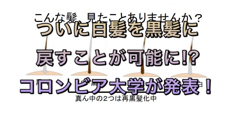 ついに白髪を黒髪に戻すことが可能に コロンビア大学が発表 ノンジアミンカラーなど髪と頭皮の悩み解決を得意とする大阪寝屋川香里園の美容師あっくんのヘアケアブログ